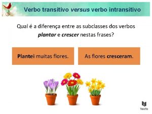 Diferença verbo transitivo e intransitivo