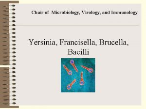 Chair of Microbiology Virology and Immunology Yersinia Francisella