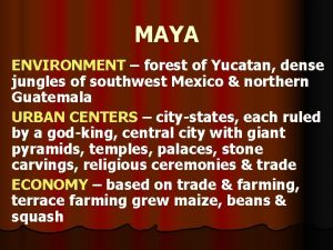 MAYA ENVIRONMENT forest of Yucatan dense jungles of