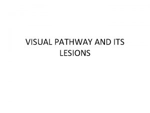 VISUAL PATHWAY AND ITS LESIONS VISUAL PATHWAY Sense