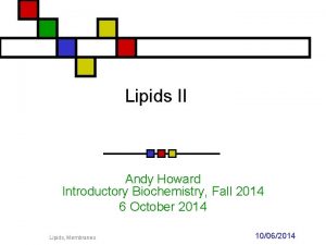 Lipids II Andy Howard Introductory Biochemistry Fall 2014