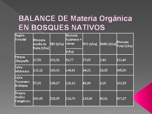 BALANCE DE Materia Orgnica EN BOSQUES NATIVOS Regin