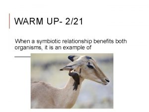 WARM UP 221 When a symbiotic relationship benefits