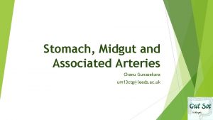 Stomach Midgut and Associated Arteries Chanu Gunasekara um