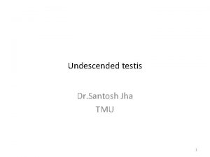 Undescended testis Dr Santosh Jha TMU 1 2