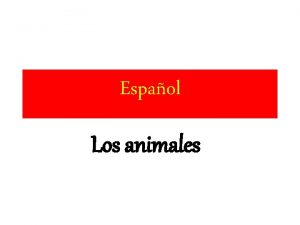 Espaol Los animales Hoy vamos a hablar un