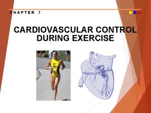 CHAPTER 7 CARDIOVASCULAR CONTROL DURING EXERCISE Major Cardiovascular