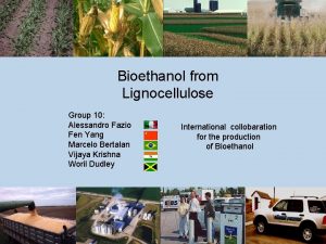 Bioethanol from Lignocellulose Group 10 Alessandro Fazio Fen