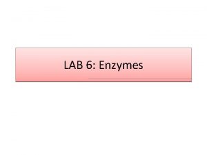 LAB 6 Enzymes Introduction Kinetic reactions all chemical