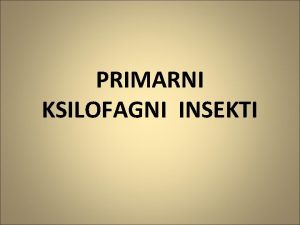 Ksilofagni insekti