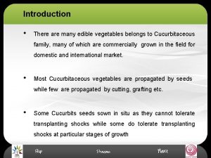 Introduction There are many edible vegetables belongs to