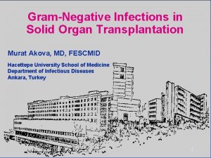 GramNegative Infections in Solid Organ Transplantation Murat Akova