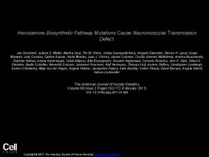 Hexosamine Biosynthetic Pathway Mutations Cause Neuromuscular Transmission Defect