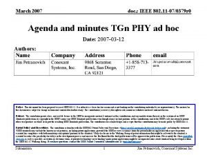 March 2007 doc IEEE 802 11 070379 r