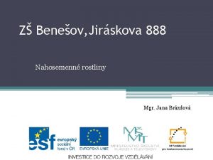 Z Beneov Jirskova 888 Nahosemenn rostliny Mgr Jana