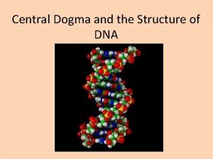 Central Dogma and the Structure of DNA Prefixes