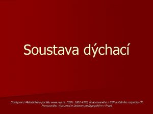 Soustava dchac Dostupn z Metodickho portlu www rvp