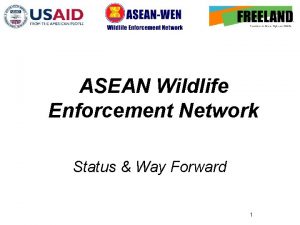 Asean wildlife enforcement network
