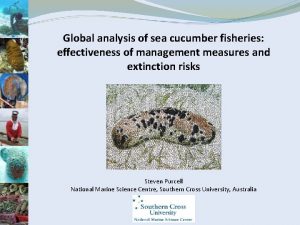 Global analysis of sea cucumber fisheries effectiveness of