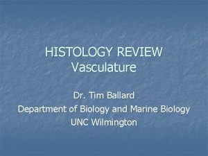 HISTOLOGY REVIEW Vasculature Dr Tim Ballard Department of