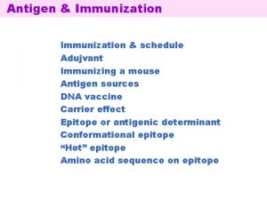 Antigen Immunization schedule Adujvant Immunizing a mouse Antigen
