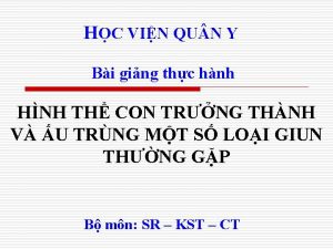 HC VIN QU N Y Bi ging thc