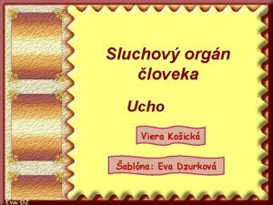 Sluchov orgn loveka Ucho Viera Koick ablna Eva