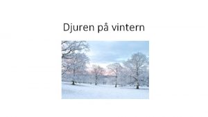 Djur på vintern film