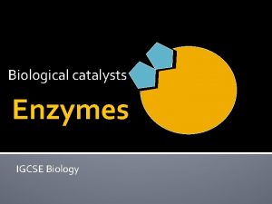 Biological catalysts Enzymes IGCSE Biology Scope of syllabus