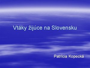 Vtky ijce na Slovensku Patrcia Kopeck Bocian biely