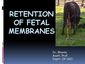 RETENTION OF FETAL MEMBRANES Dr Bhavna Asstt Prof