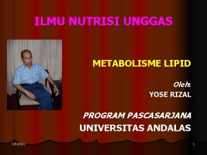 ILMU NUTRISI UNGGAS METABOLISME LIPID Oleh YOSE RIZAL