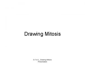 Telophase drawing