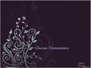 Glucose Homeostasis SBI 4 U Biology Why Glucose