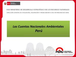 VICE MINISTERIO DE DESARROLLO ESTRATGICO DE LOS RECURSOS