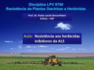 Disciplina LPV 5730 Resistncia de Plantas Daninhas a