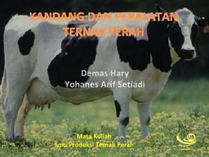 KANDANG DAN PERALATAN TERNAK PERAH Demas Hary Yohanes