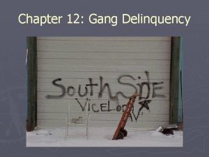 Chapter 12 Gang Delinquency A Introduction Peers and