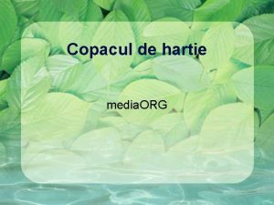 Copacul de hartie media ORG De ce un