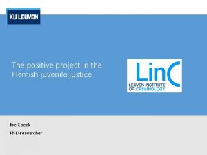 The positive project in the Flemish juvenile justice