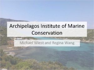 Archipelagos Institute of Marine Conservation Michael Wiest and