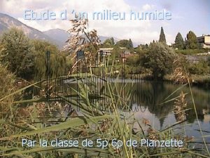 Etude d un milieu humide Par la classe