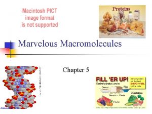 Marvelous Macromolecules Chapter 5 Macromolecules n n Large