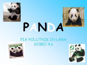 PANDA PIA POLUTNIK IN LARA GOBEC 4 a