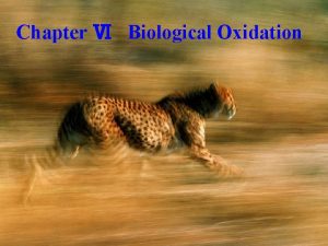 Chapter Biological Oxidation Lecture 1 Biological oxidation Lecture