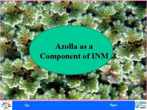 Azolla as a Component of INM Azolla as