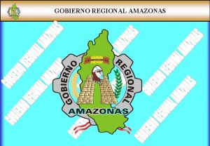 GOBIERNO REGIONAL AMAZONAS GOBIERNO REGIONAL AMAZONAS Expositor Ing
