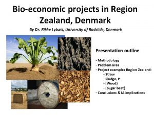 Bioeconomic projects in Region Zealand Denmark By Dr