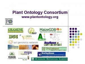 Plant Ontology Consortium www plantontology org In this