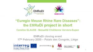 Euregio Meuse Rhine Rare Diseases the EMRa Di